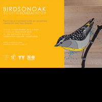 Birds on Oak, by Bonsai